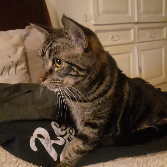 Meet your Posher, Michelle - Picture 4 of 11